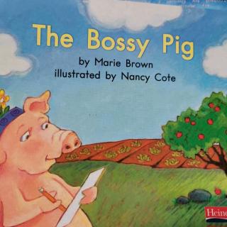 the bossy pig挑战