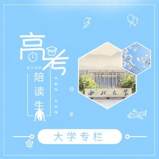 高考17天丨西北大学：公诚勤朴-泠然