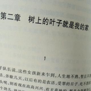 《树上的叶子是我家》