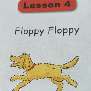 FloppyFloppy
