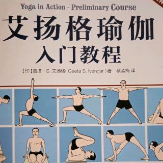 加强侧伸展式Parsvottanasana