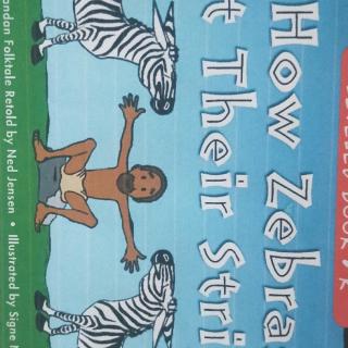 How zebras got their stripes