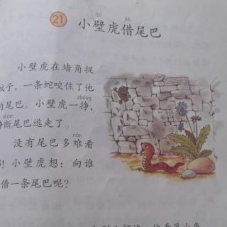 小壁虎接尾巴