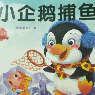 【迪宝教育】睡前故事：《小企鹅捕鱼》