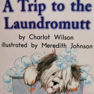 A Trip to the Laundromutt