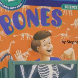 Bones_7