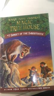 Magic Tree House 7