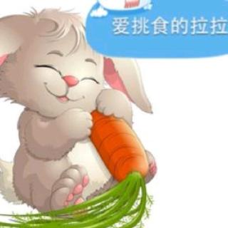 欢欢老师讲故事【爱挑食的拉拉】