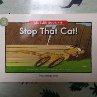 Stop That Cat