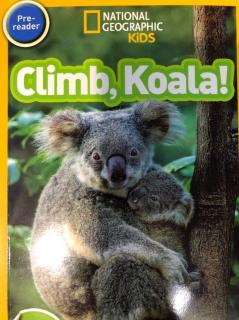 Climb，Koala！