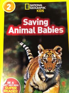 Saving Animal Babies