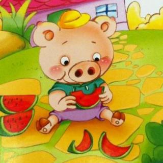 小猪买西瓜🍉