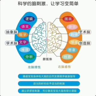 胡萝卜小姐的秘密