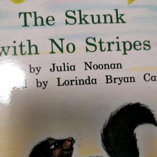 the skunk with no stripes