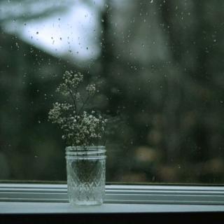 书房窗外的冷雨