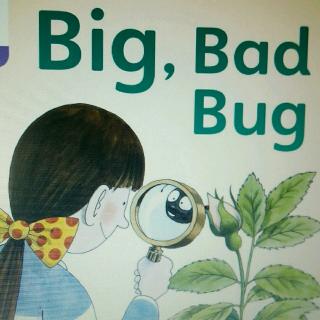 一棵树双语伴读Big Bad Bug