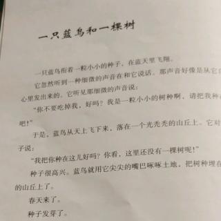 一只蓝鸟和一棵小树