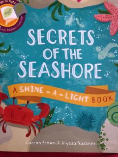 Secrets of the seashore