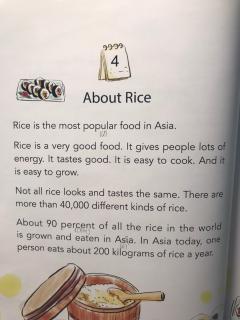 About Rice