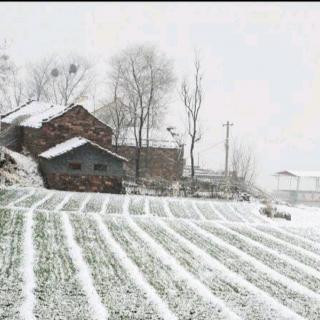 第一场雪