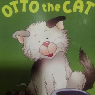 Otto the Cat