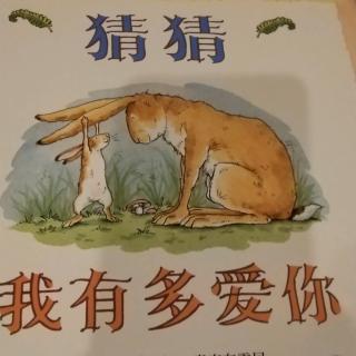 《猜猜我有多爱你》——欣雨