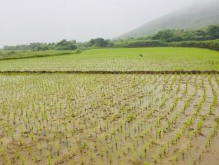 即兴，关于音乐和声音，出自《六》