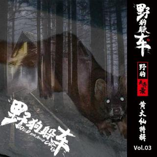 野狗灵异录Vol.03 - 黄大仙特辑