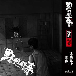 野狗灵异录Vol.18 - 真实灵异事件