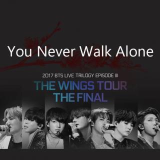 【2017】YOU NEVER WALK ALONE