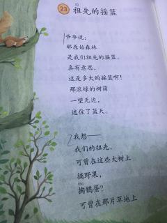 背 祖先的摇篮