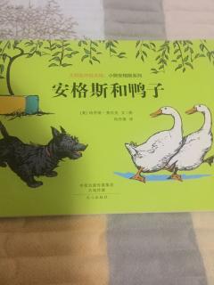 《安格斯🐶和鸭子🦆》（小狗安格斯系列）