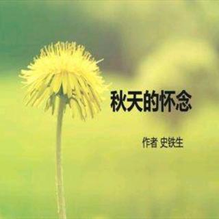 紫芸樱:《秋天的怀念》——史铁生