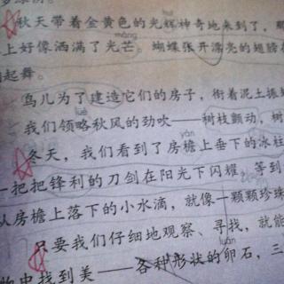 巜我们奇妙的世界;13、16、17、18》