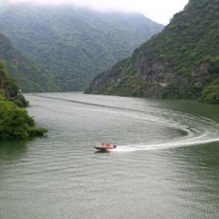 夏雨