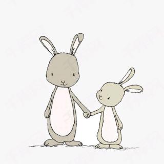大兔子和小兔子的故事