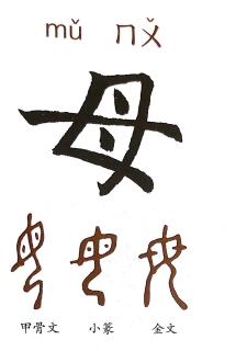 认识汉字：母