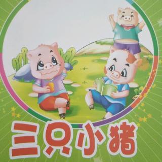 米小米Mini―《三只小猪🐷️》