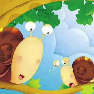 朱曲双语幼儿园的晚安故事301《爱短跑的小蜗牛》