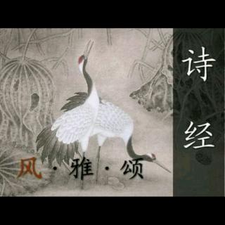 君子于役·诗经·国风