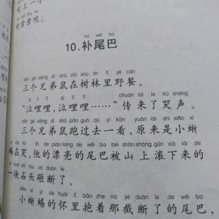 《补尾巴》