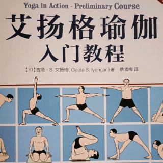 坐立体式 手杖式Dandasana