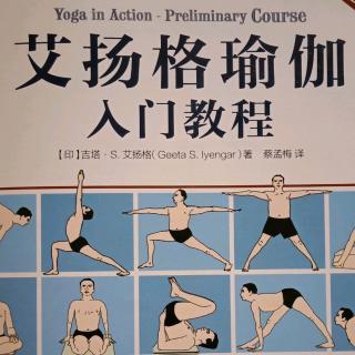 手杖式手臂上举Urdhva Hasta Dandasana