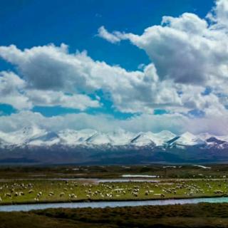 嘎达梅林 齐越朗诵艺术节作品