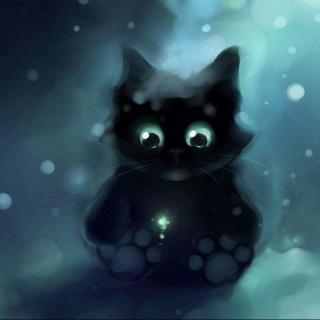 【写故事听】神秘的黑猫
