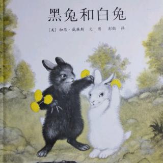 卡蒙加幼教集团~赵老师《黑兔和白兔》