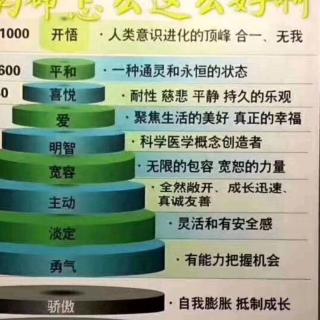 萨提亚情绪的管理与转化