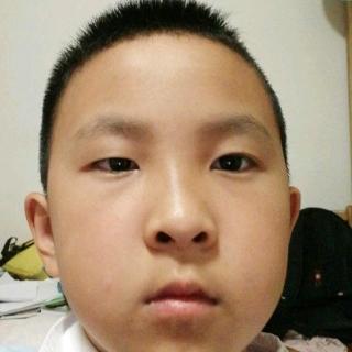 小老虎 陈世博 1 0       