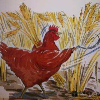 The little red hen(1)