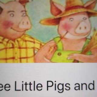 Three Little Pigs and a Big Bad Wolf